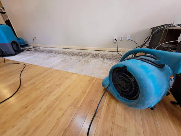 Professional Flood Damage Cleanup technician working in Lake Cormorant, MS